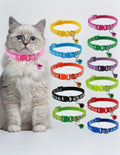 Pet Collars