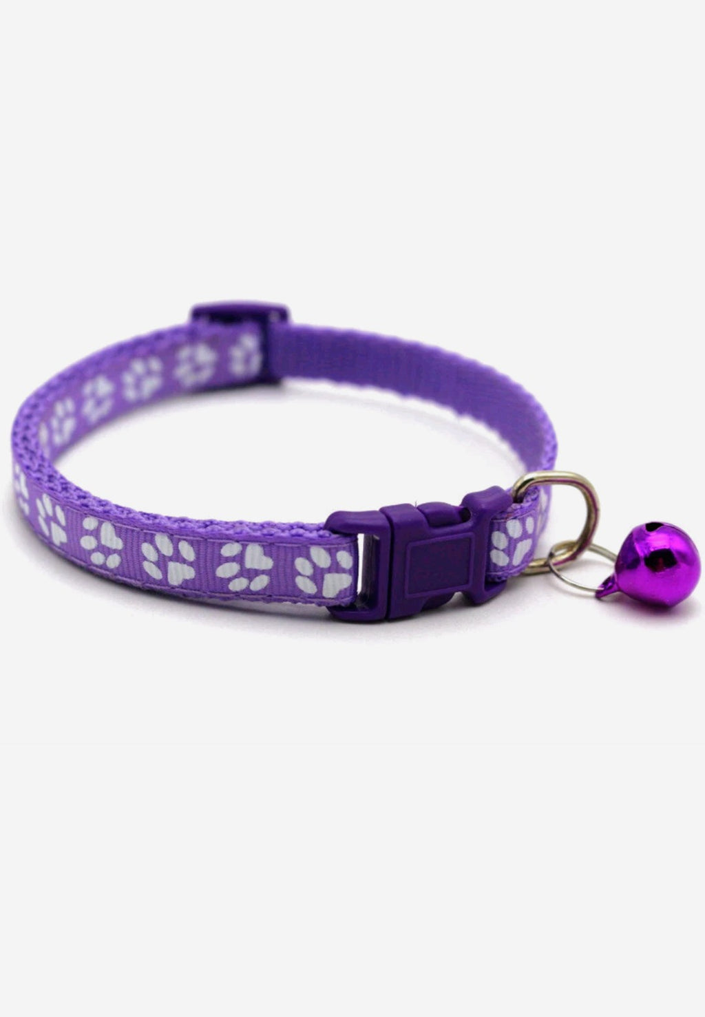 Pet Collars
